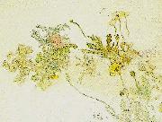 Carl Larsson blommor- nyponros och backsippor china oil painting artist